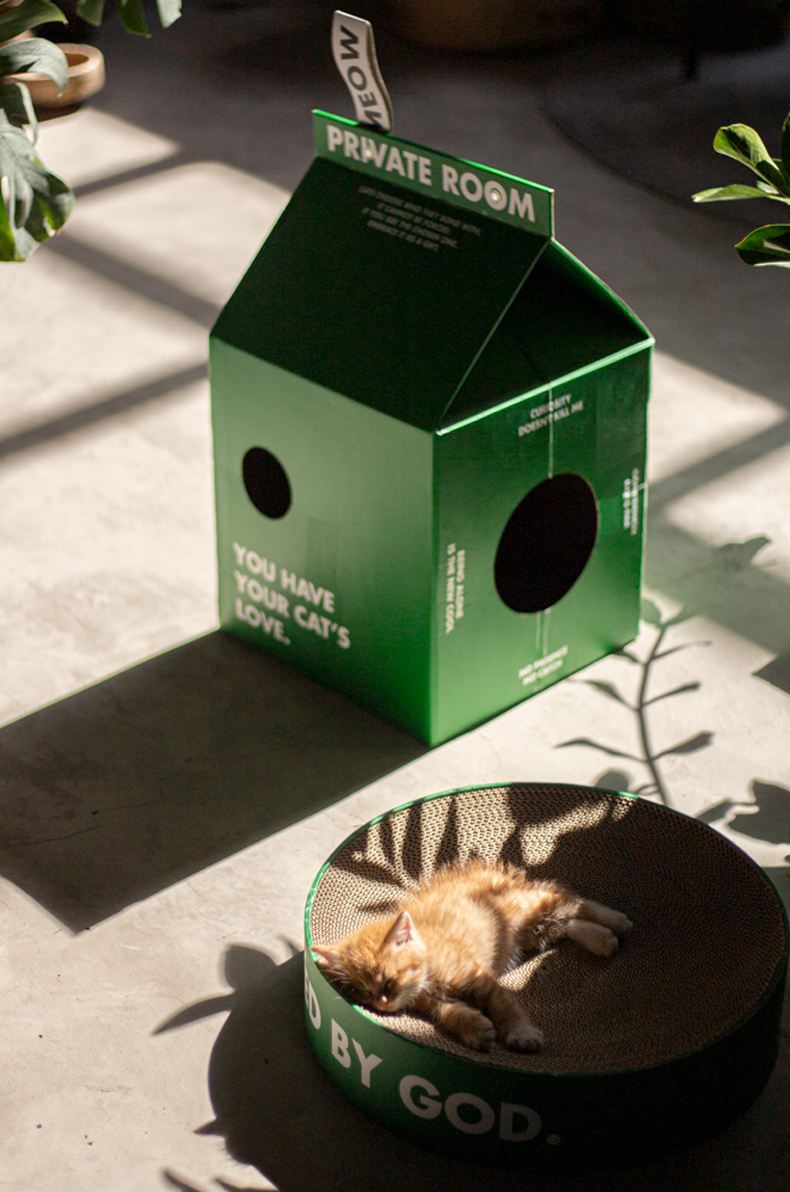 Cardboard House + Scratcher Series