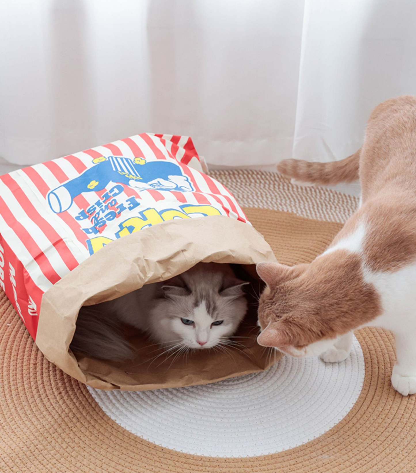 Pop Corn Paper Bag for Cats