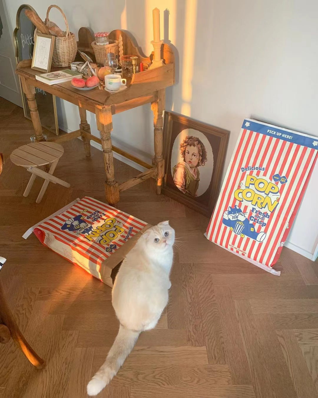 Pop Corn Paper Bag for Cats