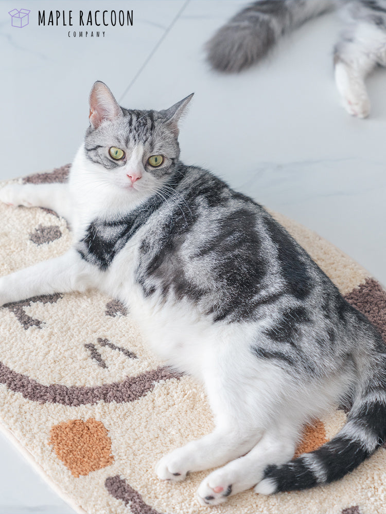 Low-pile Non-slip Thick Washable Cat Sleeping Mat