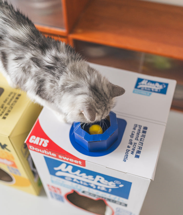 Soy Milk Carton Style Cat House & Scratcher