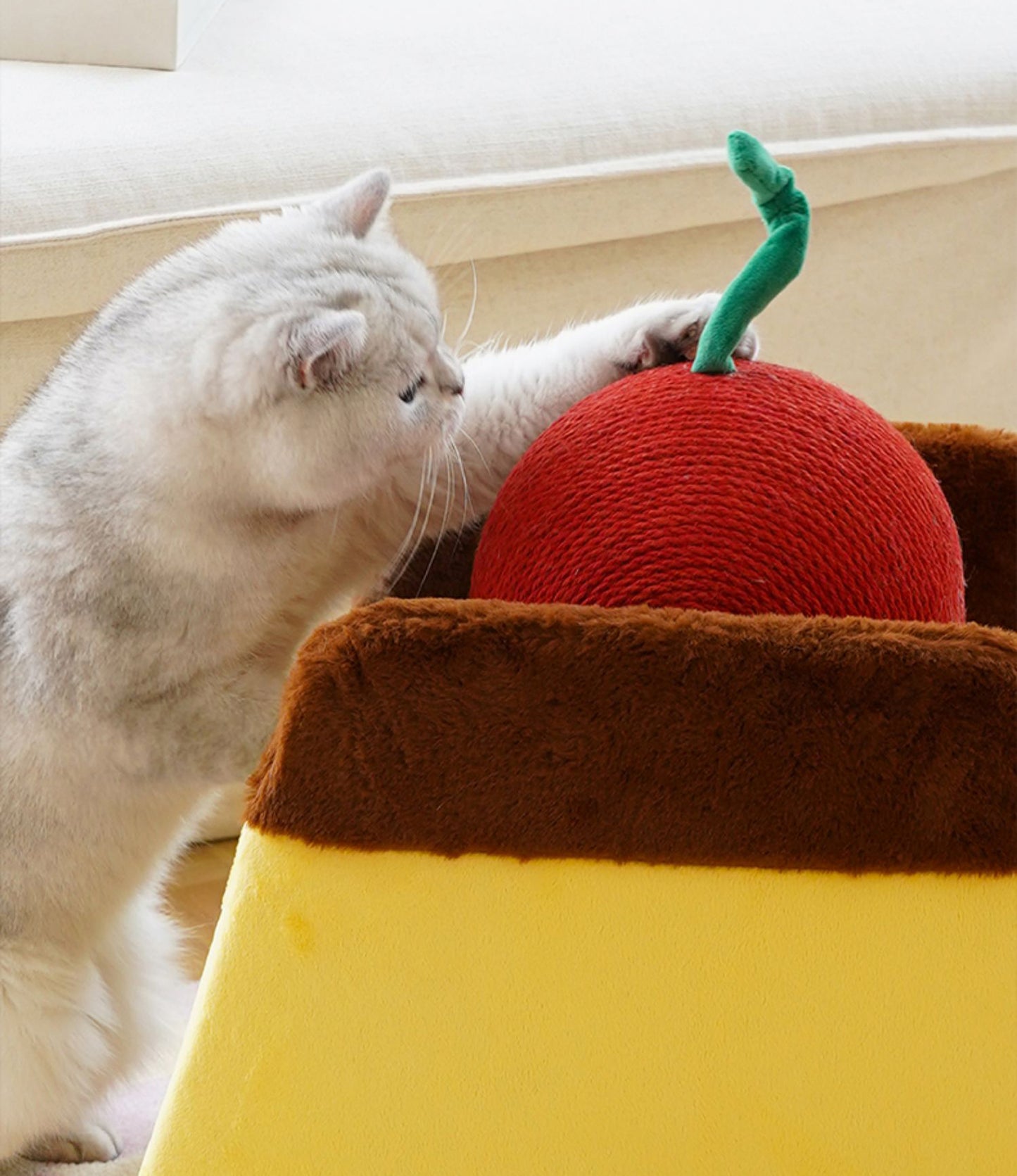 Cherry Pudding Shaped Scratcher Ball