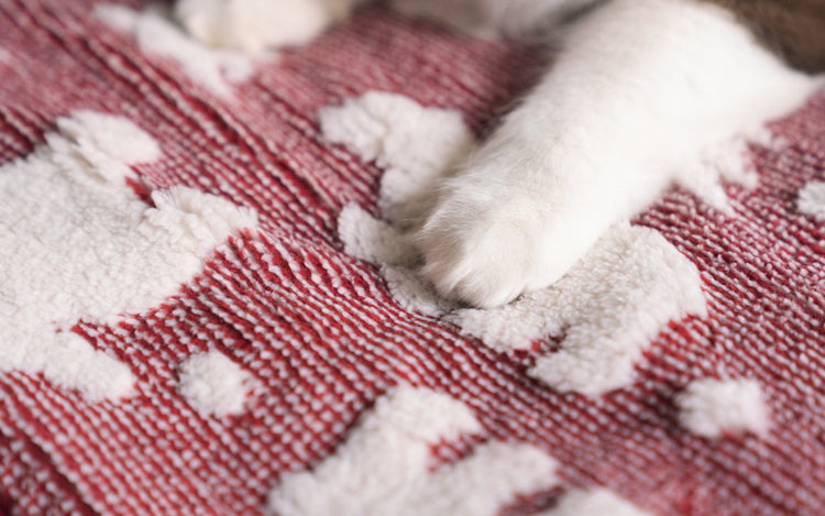 Cute Polar Bear Cat Sleeping Bag / Futon & Blanket
