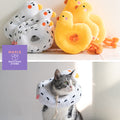 Ducky