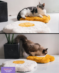 Soft Squishy All Seasons Flower Cat Mat