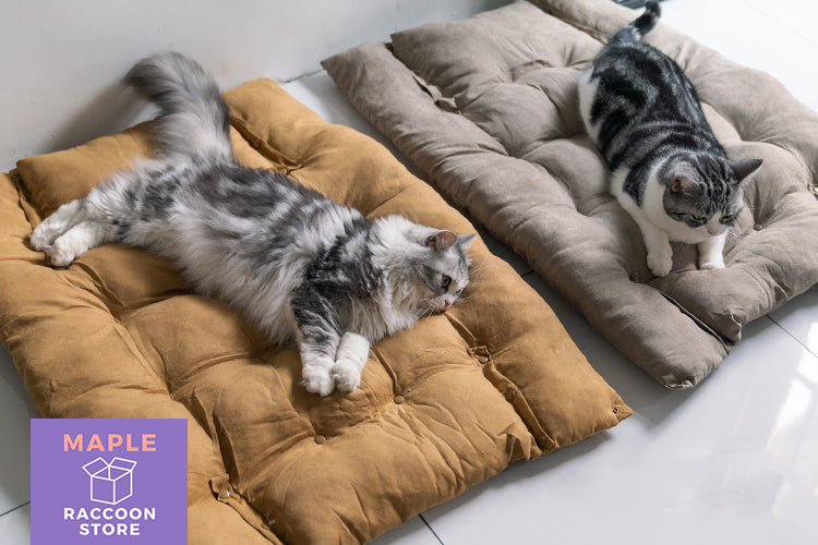 All Seasons 2-Ways Convertible Cat Bed