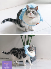 Cute Cozy Cat Circle / Baby Shark Cone for Anti-licking