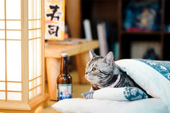 Futon Style Sleeping Bag for Cats and Dogs
