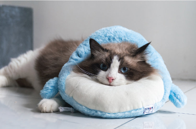 Cute Cozy Cat Circle / Baby Shark Cone for Anti-licking