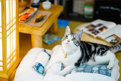 Futon Style Sleeping Bag for Cats and Dogs