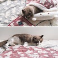 Gray Blanket