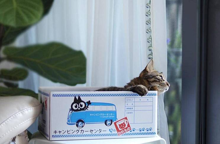 Classic Box Style Cat Scratcher