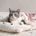 Red Sleeping Bag