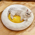 Egg