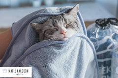 Pet Glove Towel Super Soft Pet Bath Towel