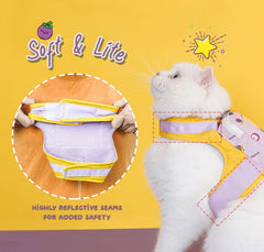 Cute Cat Harness Pet Leash with a Tiny Backpack