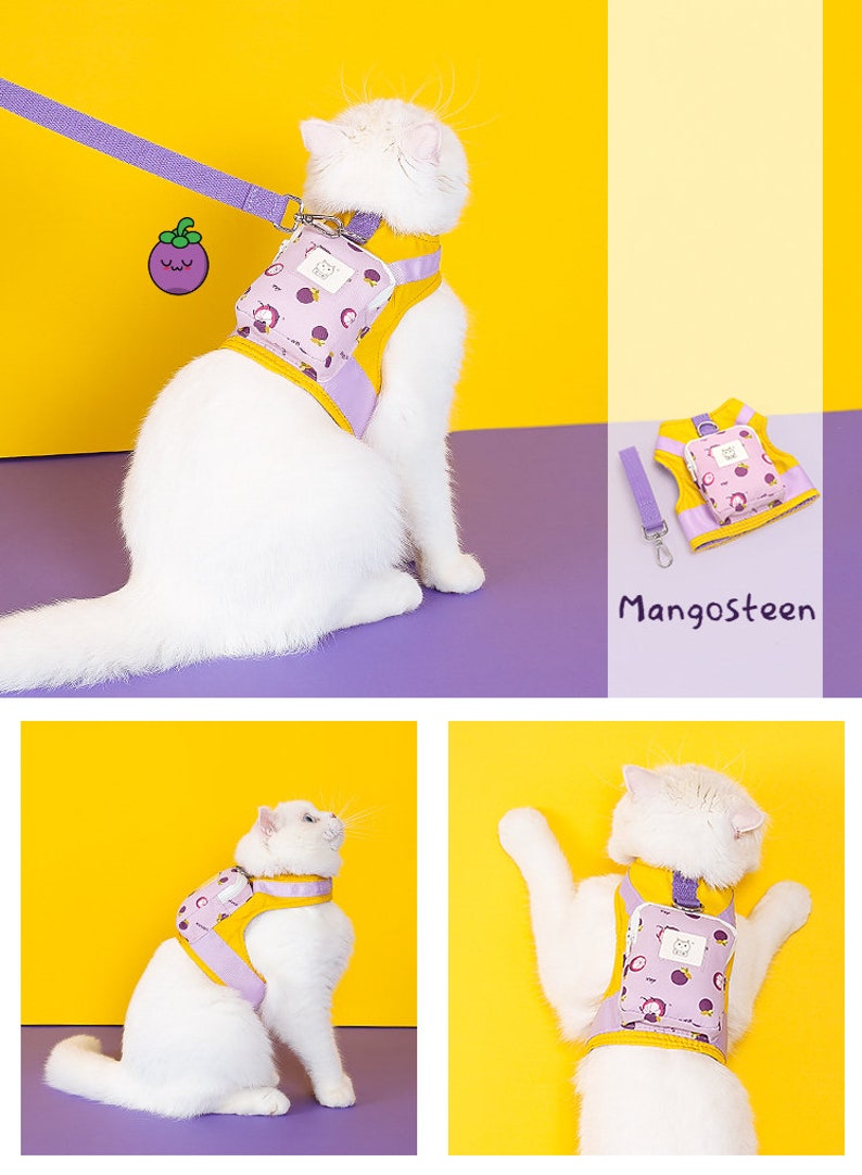 Cute Cat Harness Pet Leash with a Tiny Backpack